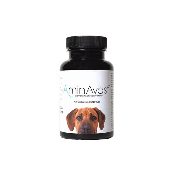 AminAvast Canine: 300mg 60ct Bottle