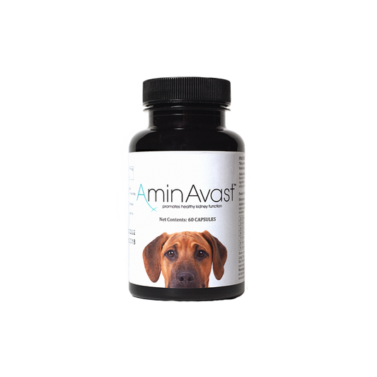 AminAvast Canine: 300mg 60ct Bottle